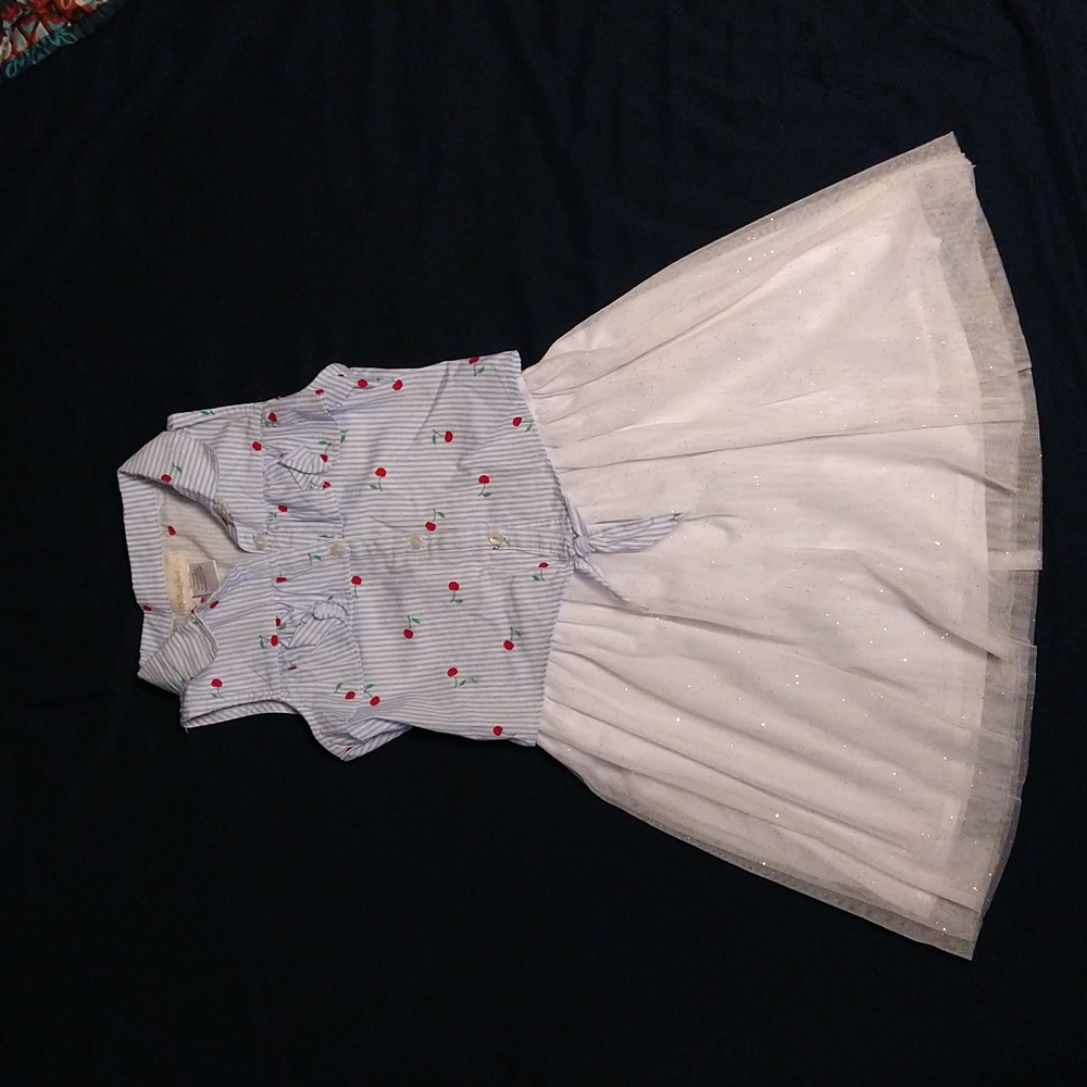 3/$20 Sweet Heart Rose girls dress